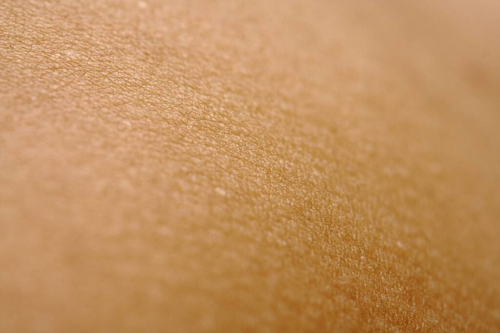 Hydrating Cream Moisturizer Benefit of Using: Why Your Skin Craves This Daily Ritual